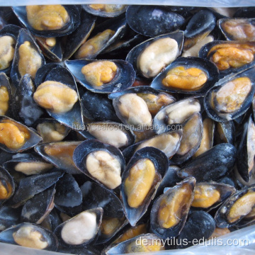 Großhandel muschelfleisch mit halben schalenlieferant